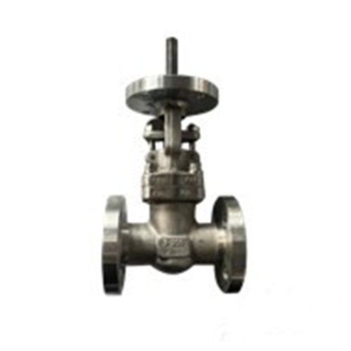 ASTM A182 F316 Gate Valve, API 602, ASME B16.34, 1 Inch, 300 LB